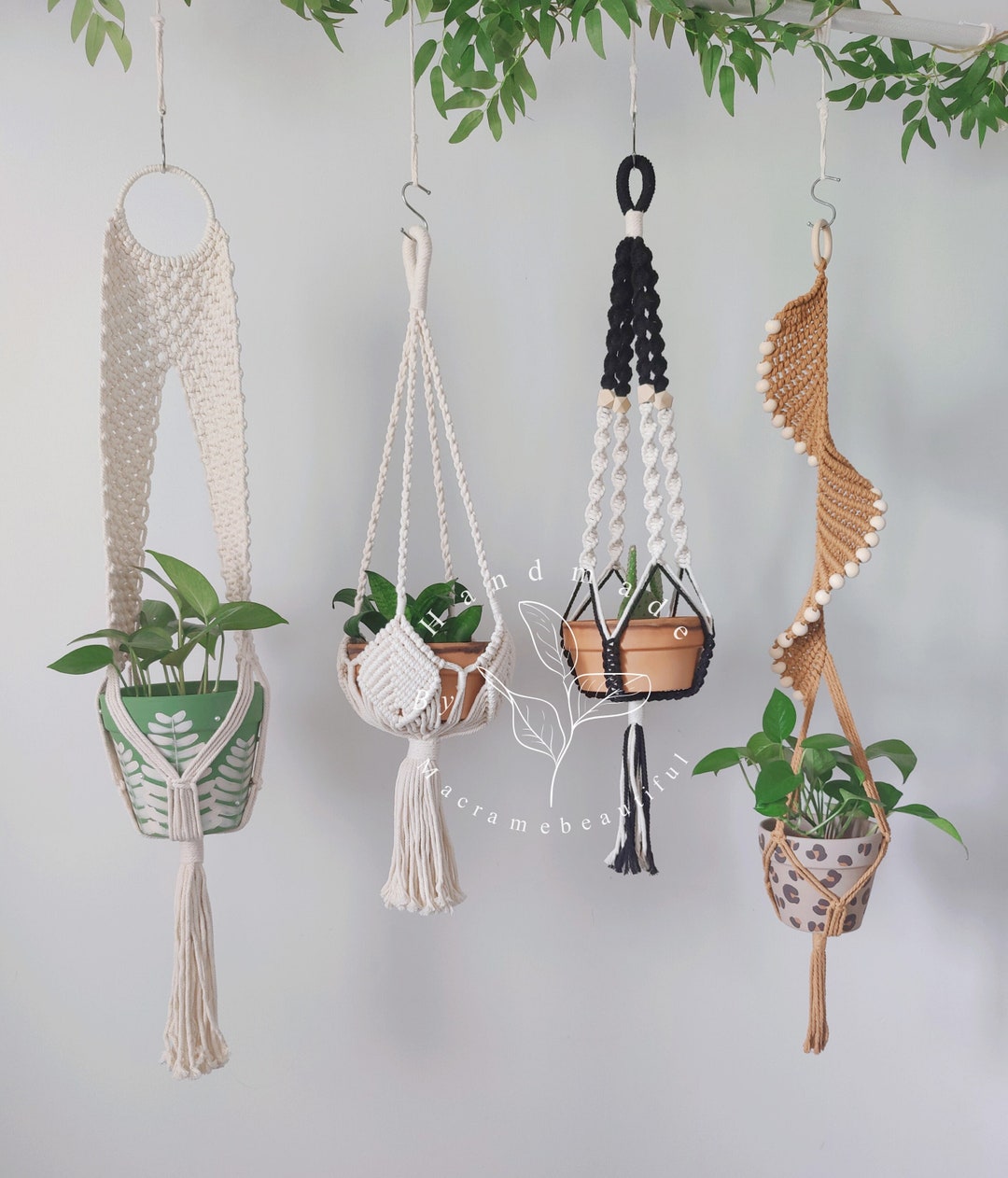 Indoor Succulent and Planter Gift Set
